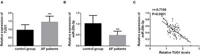 LncRNA TUG1 Regulates Proliferation of Cardiac Fibroblast via the miR-29b-3p/TGF-β1 Axis